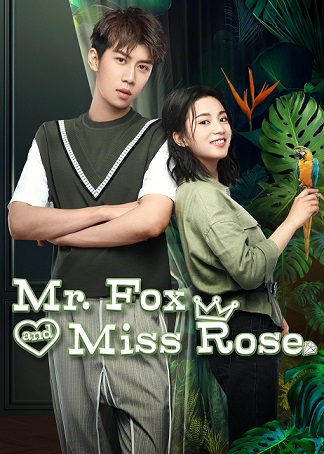 Mr Fox and Miss Rose Episode 11